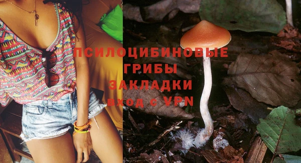 тгк Белокуриха