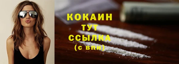 тгк Белокуриха