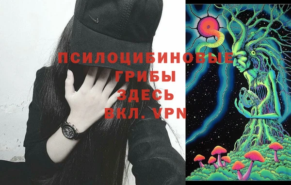 винт Беломорск
