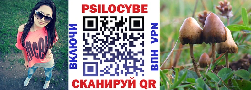 Псилоцибиновые грибы MAGIC MUSHROOMS  shop официальный сайт  Ворсма  продажа наркотиков 